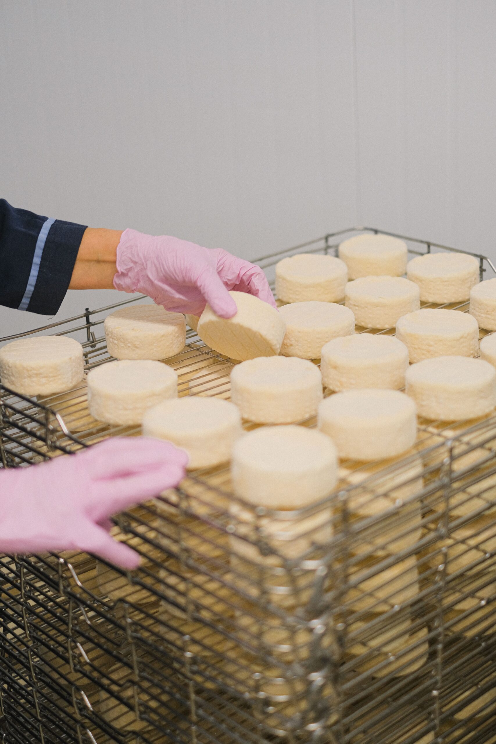 Industria alimentare